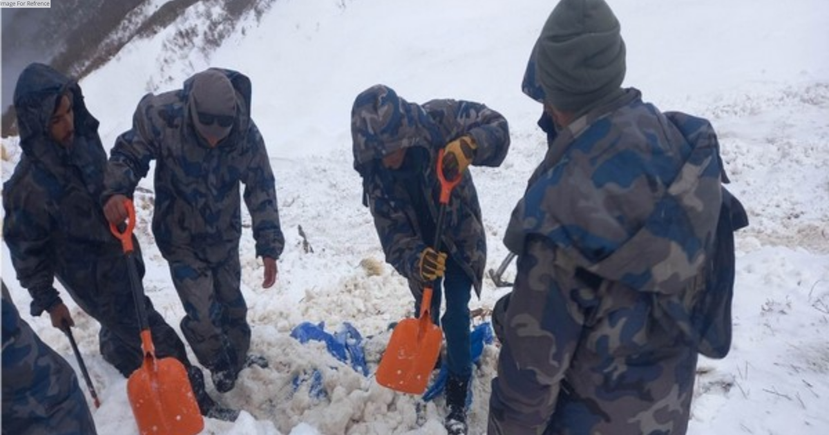 At least 5 people out in search of Himalayan Viagra suspected to be missing in avalanche in Nepal: Police